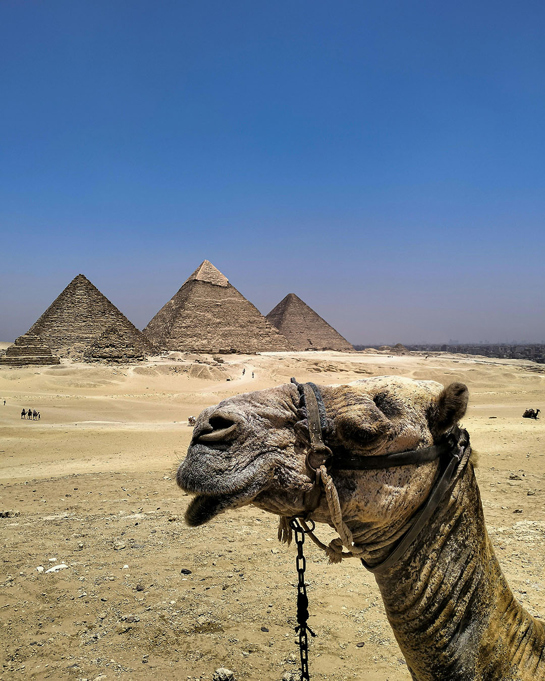 Pyramids of Giza: The most recognizable landmarks in the world