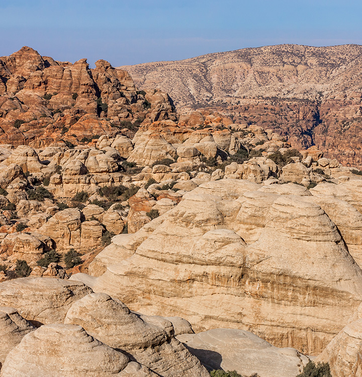 Desert Trails in Jordan